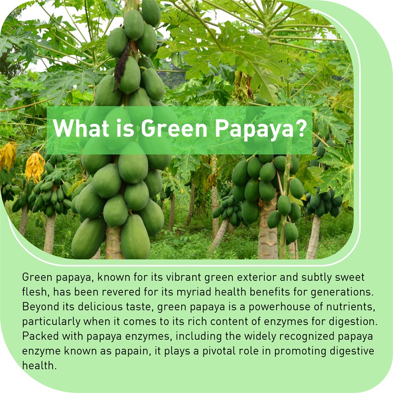 Green Papaya: migliorano il si - Licorice Root Extract recensione e prezzo